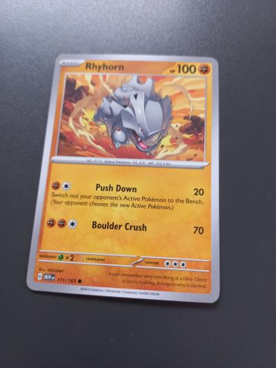 Pokemon Rhyhorn 100