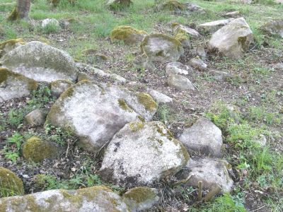 Daruji za odvoz kameny vhodné pro dekoraci, nebo stavbu