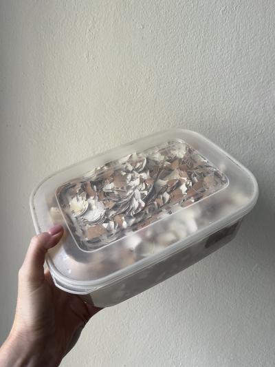 Skořápky pro slepičky