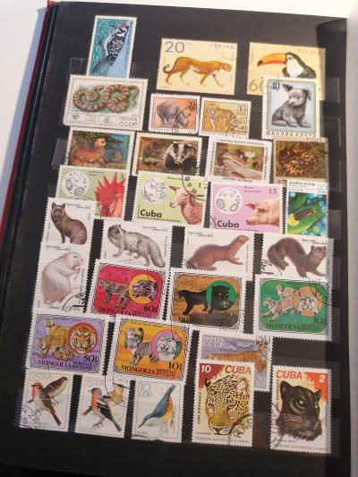 Sbírka známek (SSSR, Mongolsko, Maďarsko, Polsko, Kuba, ...)