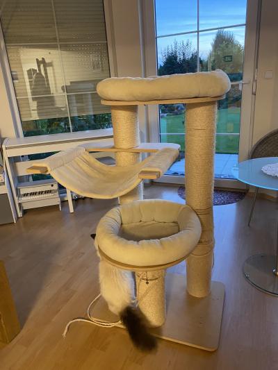 Škrabadlo pro kočky