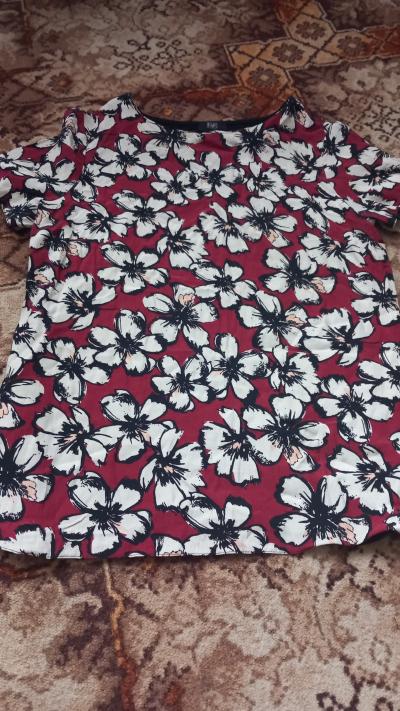 Halenka divči vel S