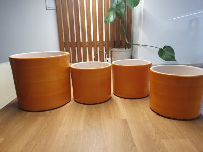 Daruji za odvoz 4 květináče