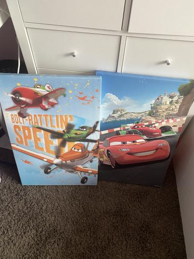 Daruji obrazy za odvoz