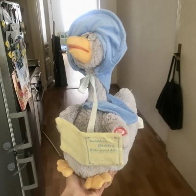 Husa, která čte pohádky