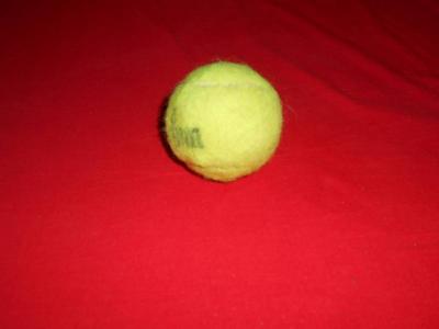 Tenisák třeba pro pejska