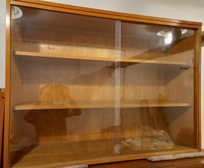 PROSKLENÁ SKŘÍŇKA