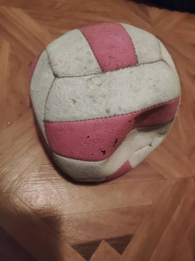 Starší volejbalový míč (pro pejska?)