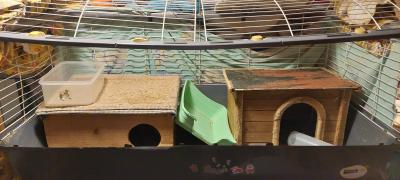 klec pro králíka/morče