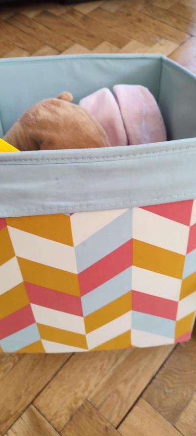 Krabice plná hraček