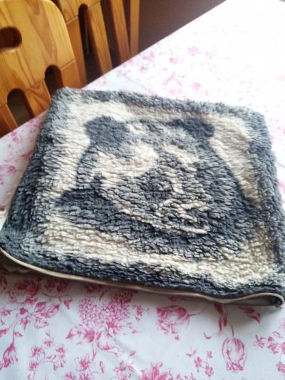 povlak na plštářek medvěd