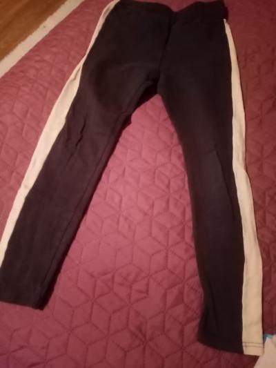 legina pruh  asi 130 štíhlé