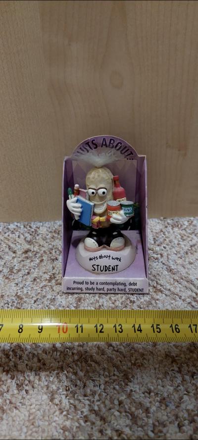 Bobble head - student burák