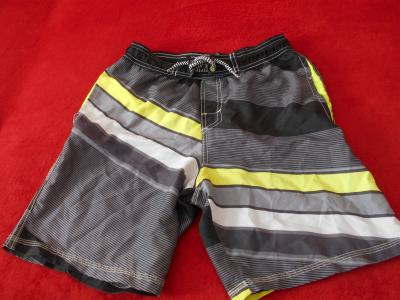 Pánské šortky