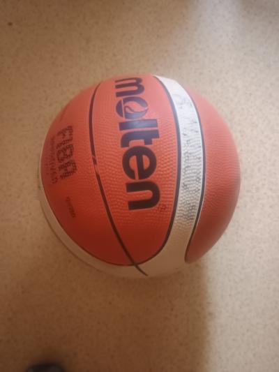 Mic pro psa na hrani