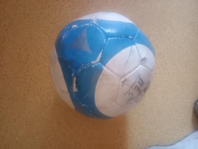 Mic pro psa na hrani 4