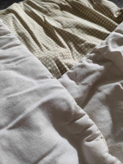 Zavinovačka hnědá