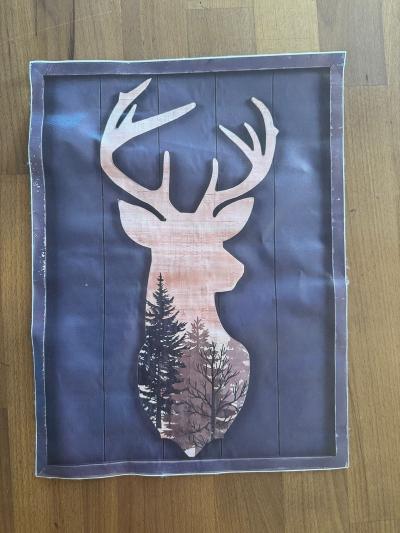 Platno s potiskem do obrazu