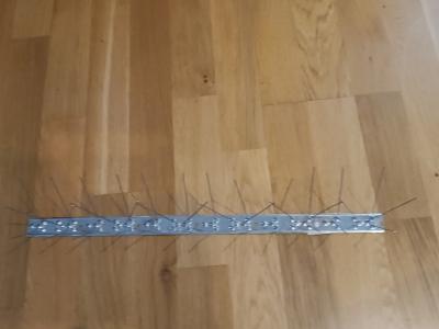 Hroty proto holubům