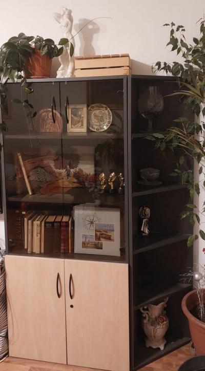 Knihovna s vysokou policí