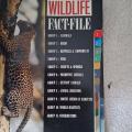 anglicky  Wildlife fact-file