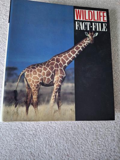 anglicky  Wildlife fact-file