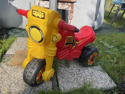 Motorka žlutočervená