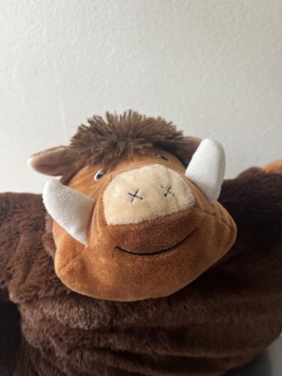 Plyšová hračka-polštářek