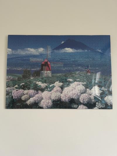 Obrazy na zeď (složeno z puzzlí)