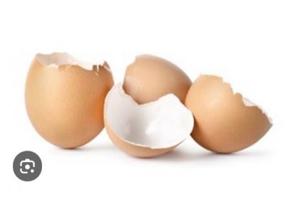 HLEDÁM skořápky vajec