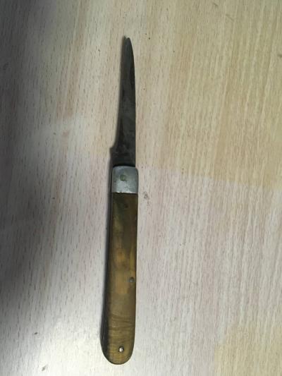 Nůž pro houbaře kapesní