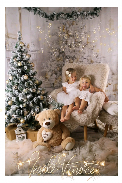 Vyřazené hračky cokoliv jako vánoční dárek prosim