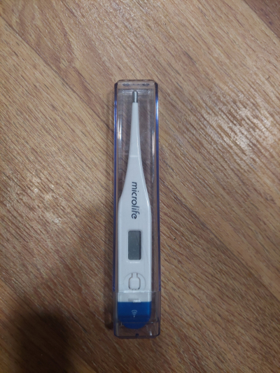 Elektrický teploměr