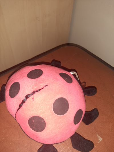 Plyšová hračka beruška