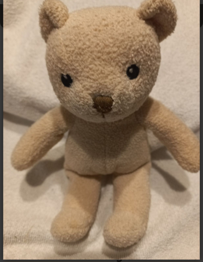 Medvídek hledá domov.