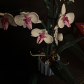 LEGO orchidej