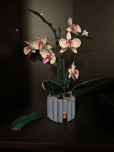 LEGO orchidej
