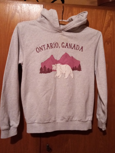 mikina medvěd 134-146