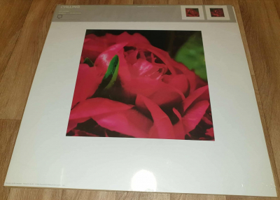 Dekorace, obraz, plakát z Ikey