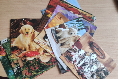 Obrázky psů z kalendáře