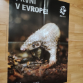 Plakát a pohlednice ze ZOO Praha