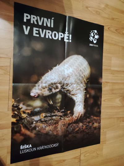 Plakát a pohlednice ze ZOO Praha