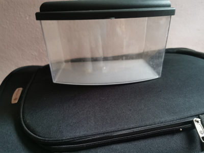 Přepravka na hlodavce