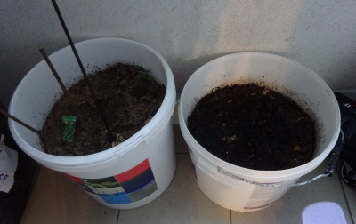 zemina v květinači a kýblích