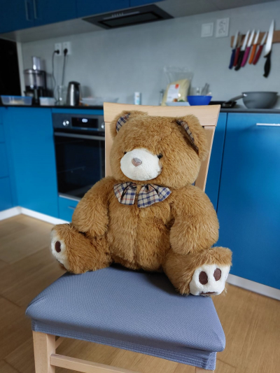 Velký plyšový medvěd - REZERVACE