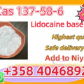 CAS 137-58-6 Lidocaine High Purity Powder China Factory Supp