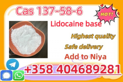 CAS 137-58-6 Lidocaine High Purity Powder China Factory Supp