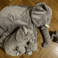 Rodinka slonu z Ikea