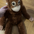 Orangutan Ikea 🦧