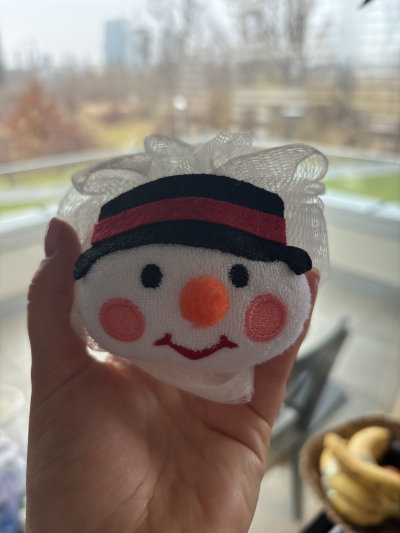 Mycí houba vánoční